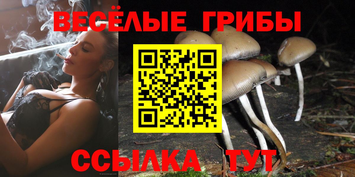 Красногорск  Псилоцибиновые грибы ЛСД  Псилоцибиновые грибы GOLDEN TEACHER  как найти наркотики  Вход с VPN 